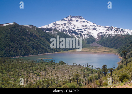 Volcán Tolhuaca y un lago alpino y un bosque de arucaria arucana árboles en las montañas de la Cordillera de Los Andes de Chile en América del Sur