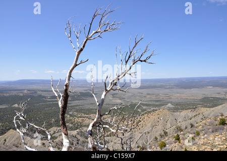 El Parque Nacional Mesa Verde rocks, Nuevo México, EE.UU. Foto de stock
