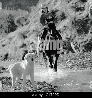 Los jóvenes chica inglesa montando su caballo en un arroyo, río, adolescente de 13, 14, 15, años, años, vieja persona, mujer, pony,