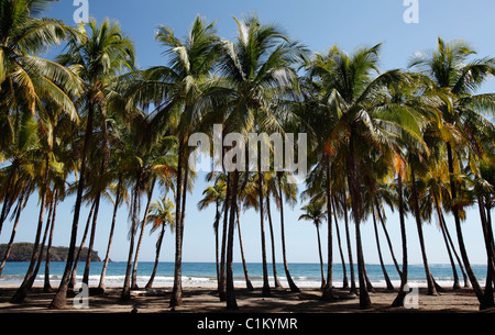 Playa Carillo, Península de Nicoya, Costa Rica Foto de stock