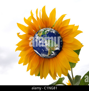 La tierra como un girasol, representando el planeta como un organismo vivo  Fotografía de stock - Alamy