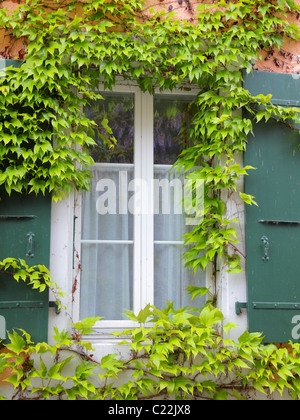 Uva ventana enmarcada con contraventanas verdes Foto de stock
