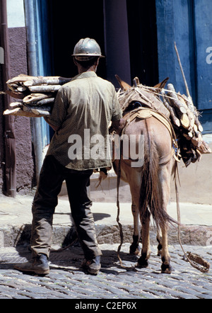Ochenta personas, agricultura, ganadería, trabajo, trabajador, ropa de  trabajo, sombrero duro, burro, pack de burro, el transporte de madera,  BR-Ouro Preto, Minas Gerais, Brasil Fotografía de stock - Alamy