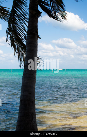 Siluetas de palmeras en el Golfo de México, MAR AZUL Y BARCO EN LA DISTANCIA Foto de stock