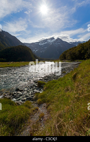 Valle del río Wilkin en Nueva Zelanda Foto de stock