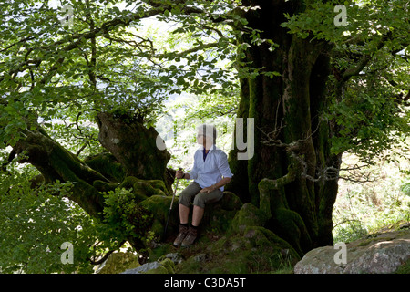 Un excursionista descansar bajo la sombra de un árbol haya en el Pirineo occidental. Se reposant Randonneuse à l'ombre d'un vieux hêtre. Foto de stock