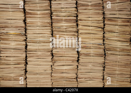 Cinco montones de periódicos uniforme para ser reciclado Foto de stock