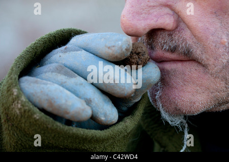Jean Claude Authier, Truffle Hunter, posee una trufa negra ha excavado hasta justo debajo de su nariz para oler su olor Foto de stock