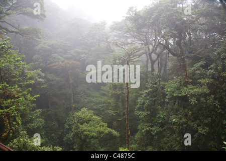 La Reserva Biológica Bosque Nuboso de Monteverde, Costa Rica Foto de stock