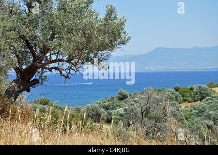 El paisaje en el sur de Chipre Foto de stock