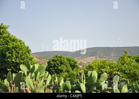 El paisaje en el sur de Chipre Foto de stock