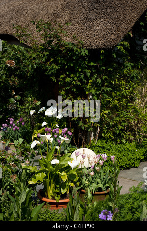 El Cottage Garden Rosemoor en abril, RHS, Devon, Inglaterra, Reino Unido Foto de stock