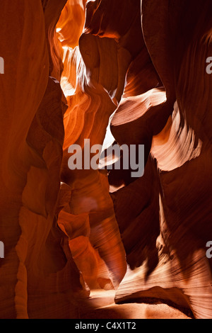 La luz del sol iluminando las curvas y líneas esculpidas tallados en las paredes de arenisca roja de Antelope Canyon por la erosión hídrica tierras Navajo en Arizona US