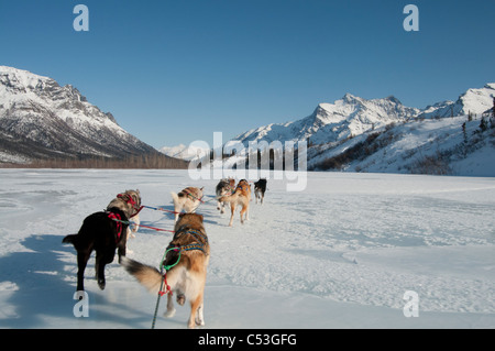 Vista desde el trineo mushing perro mientras el North Fork del Río Koyukuk en puertas del Arctic National Park