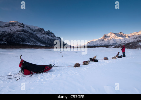 Guardabosques del Parque nacional recae en su equipo con perros en el North Fork del Río Koyukuk al atardecer, Brooks, Alaska