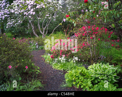 Camino del jardín y plantas en flor. El Connie Hansen jardín. Lincoln City, Oregon Foto de stock