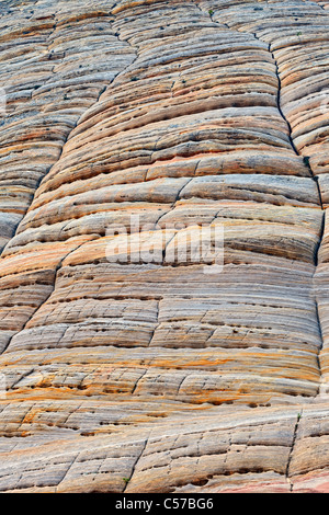 Patrones de tablero de piedra arenisca de Navajo en Utah Zion National Park. Foto de stock