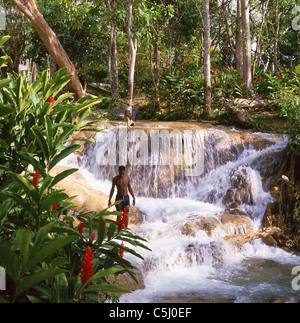 Dunn's River Falls, Ocho Ríos, Saint Ann Parish, Jamaica, Antillas Mayores, el Caribe Foto de stock