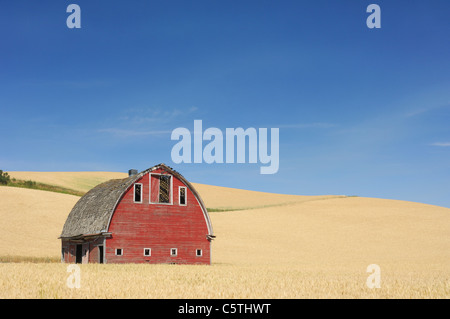 Ee.Uu., Palouse, Whitman County, Estado de Washington, granero en el campo Foto de stock