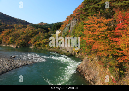Hojas de Otoño y Arakawa, Barranco, Iwafune Sekikawa, Niigata, Japón Foto de stock