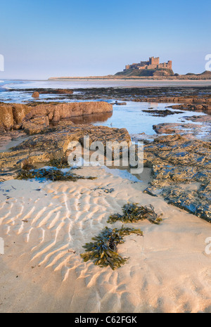 Bamburgh Castle situado en la costa de Bamburgh en Northumberland, Inglaterra.