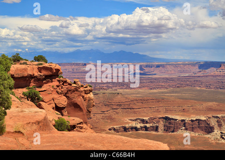 Grand View Point Mirador, Parque Nacional Canyonlands, en Utah Foto de stock