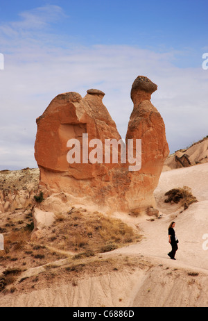 Una de las más peculiares formaciones rocosas en toda la Capadocia, el "camello" en el valle de Devrent, Nevsehir, Turquía Foto de stock