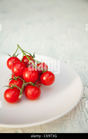Los tomates en la vid en una placa blanca.
