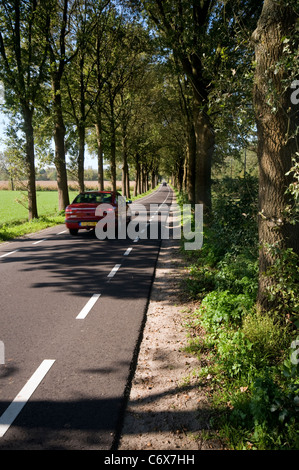 Un coche circulando por una carretera bordeada de árboles en los Países Bajos Foto de stock
