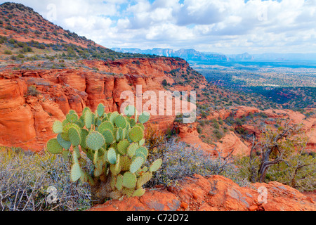 Desierto de roca roja Foto de stock