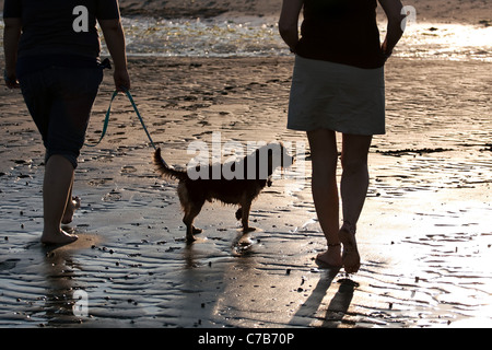 Retrato retroiluminado de dos mujeres caminando un lindo perro borkie en la playa.