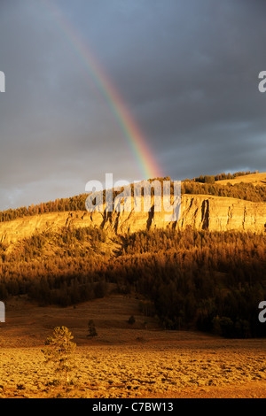 Arco iris sobre acantilados arriba Soda Butte Creek valley iluminadas por el sol, el Parque Nacional Yellowstone, Wyoming, EE.UU.