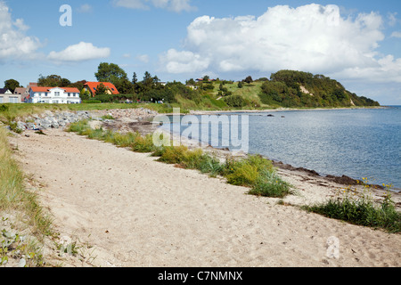 En la playa en la península Monchgut Thiessow, Ruegen, Mecklenburg Vorpommern, Alemania Foto de stock