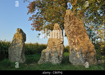 Tres piedras megalíticas / menhires de Oppagne cerca Wéris, Ardenas Belgas, Luxemburgo, Bélgica Foto de stock