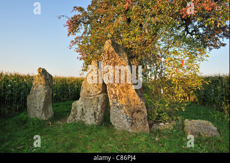 Tres piedras megalíticas / menhires de Oppagne cerca Wéris, Ardenas Belgas, Luxemburgo, Bélgica Foto de stock
