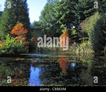 El estanque con la siembra en otoño