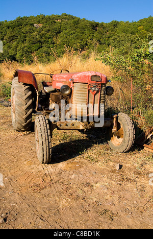 Antigua Red tractor Massey Ferguson TEF Foto de stock
