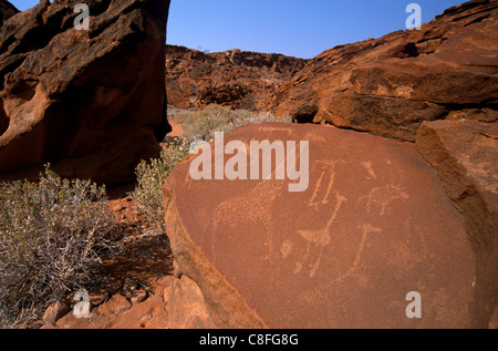 Twyfelfontein petroglifos (grabados en piedra, Edad de Piedra tardía, Sitio del Patrimonio Mundial de la UNESCO, la región de Kunene, Namibia Foto de stock