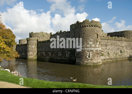 Gran Bretaña, Gales, Anglesey, castillo de Beaumaris, castillo Moated Foto de stock