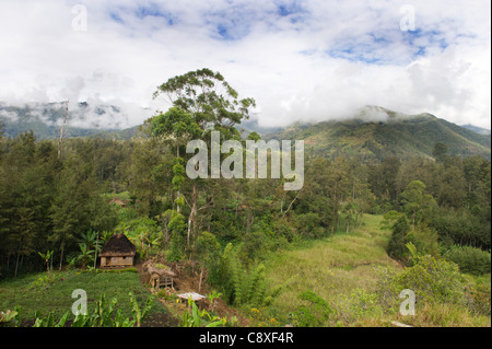 La agricultura y la vivienda en valle en el altiplano occidental cerca de Mt Hagen Papua Nueva Guinea Foto de stock