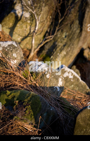 Las rocas con árbol feriantes Crag Scugdale North Yorkshire, Inglaterra Foto de stock