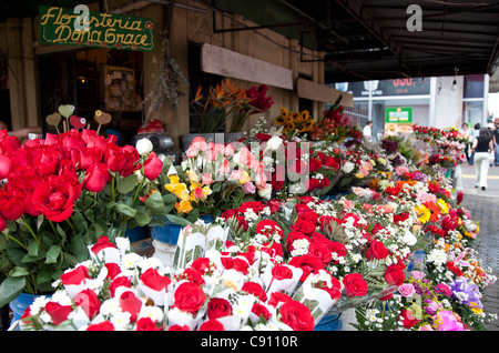 Flower market san jose costa fotografías e imágenes de alta resolución -  Alamy