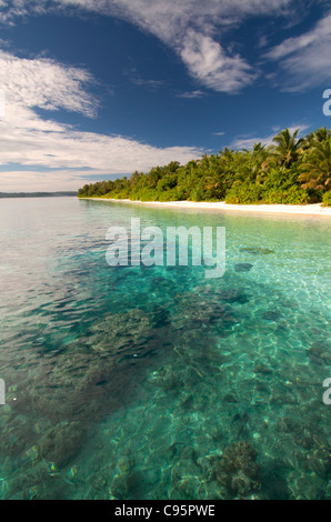 Simakakang isla, Islas Mentawai, al oeste de Sumatra, Indonesia Foto de stock