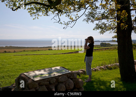 Mujer viendo el estuario Solway desde el punto Drumburn, Dumfries y Galloway Foto de stock