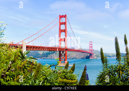 Puente Golden Gate, San Francisco Foto de stock