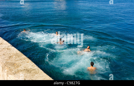 Los adolescentes nadando a lo largo del 'Malecon' en La Habana, Cuba. Foto de stock