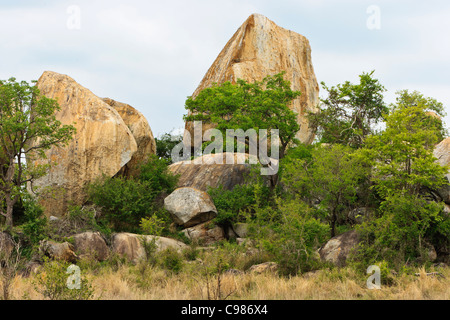 Un granito típico koppie en el Lowveld de Sudáfrica. El Parque Nacional Kruger.