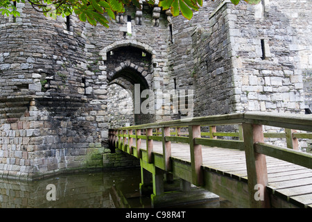 Castillo de Beaumaris en Anglesey, Gales, Reino Unido Foto de stock