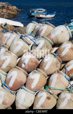 Capturas de pulpo en el puerto pesquero de Houmt Souk Djerba, Túnez, África del Norte Foto de stock