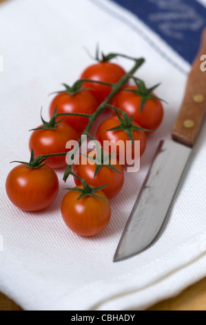 Tomates cherry en la vid, con un cuchillo en una toalla de té blanco